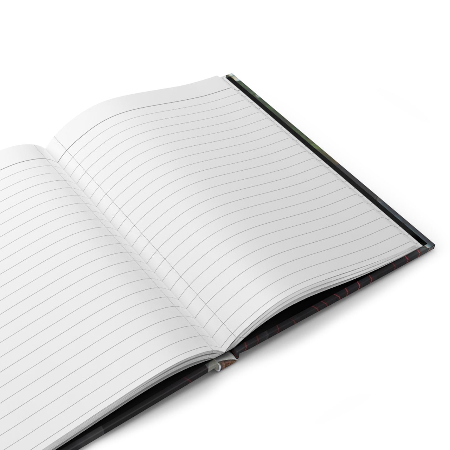 B.M.D Hardcover Journal Matte, Power Couple Wealth Creation, Business Planner, Financial Goals Organizer, Wealth Building Bullet Journal,